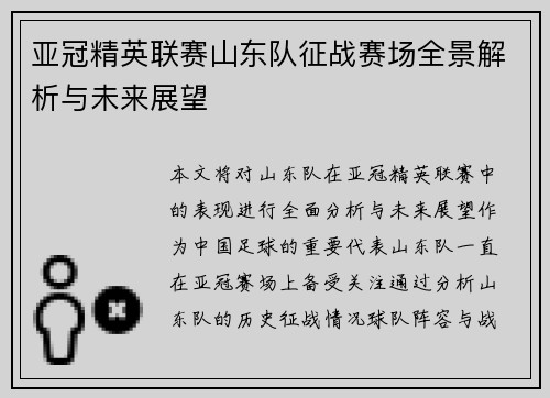 亚冠精英联赛山东队征战赛场全景解析与未来展望